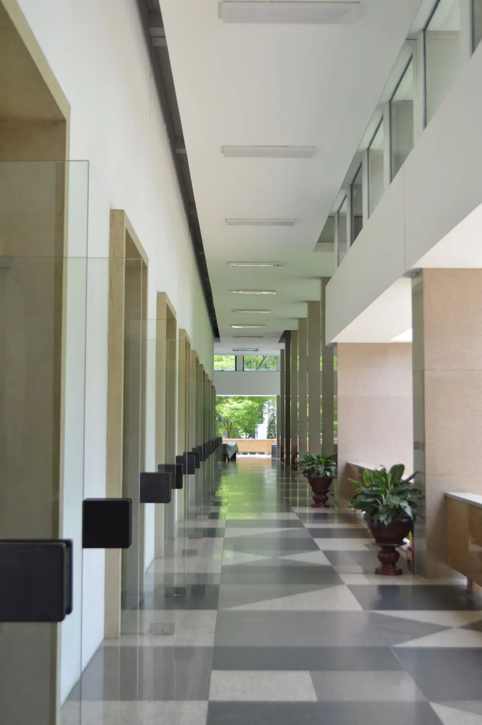 Bright shared corridor with ceiling fittings, windows and plants